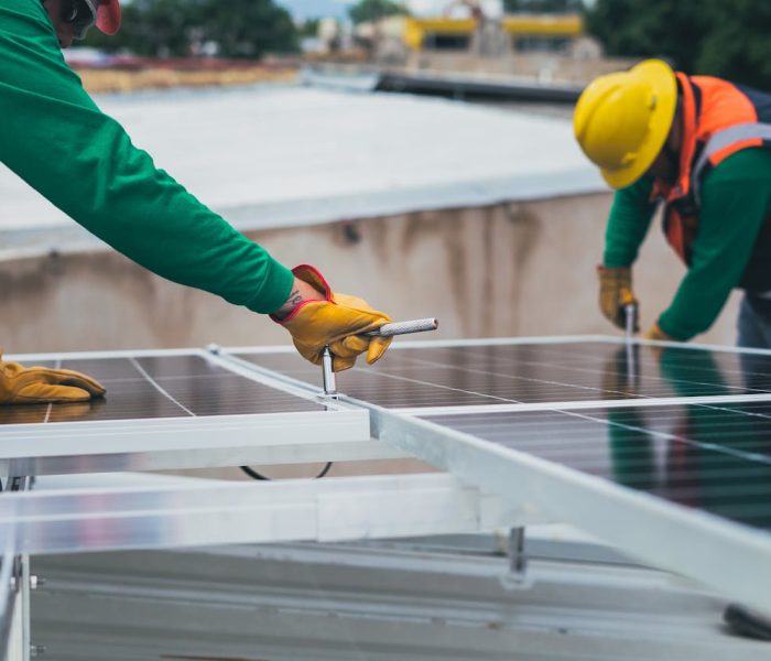 pexels-cristian-rojas-8853499